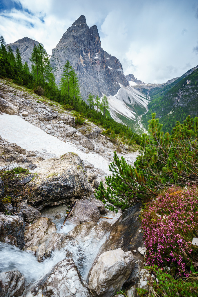 _DSC4807 | Baumgartner Markus Fotografie