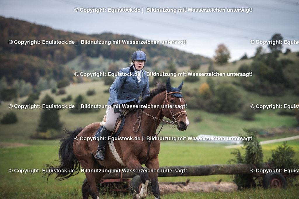 20241013_Jagd-Marbach_0243 | Foto: Thomas Hartig