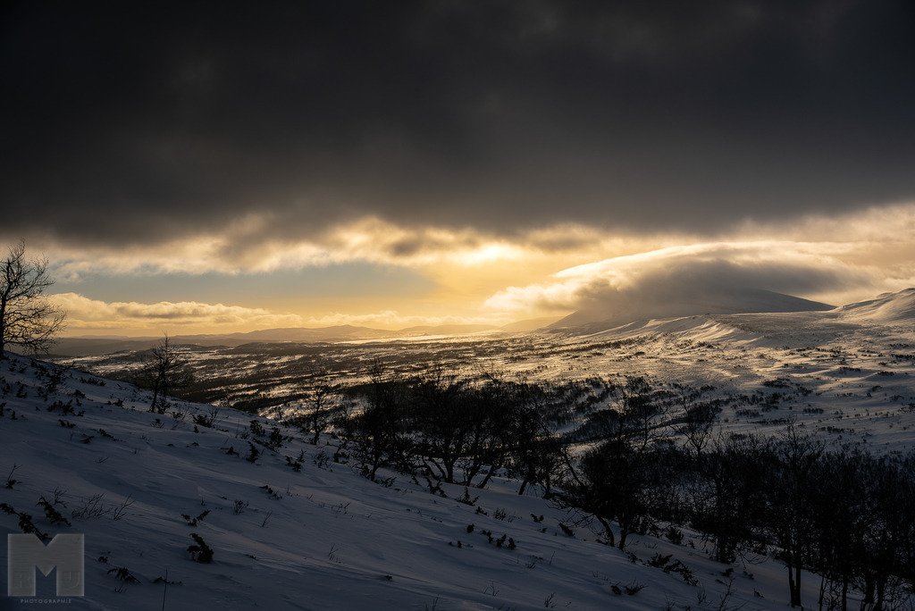 Össjödalen im Abendlicht | Landschafts- und Tierfotografie zu allen Jahreszeiten. Und immer die Schönheit des Lichtes im Auge... - Realisiert mit Pictrs.com