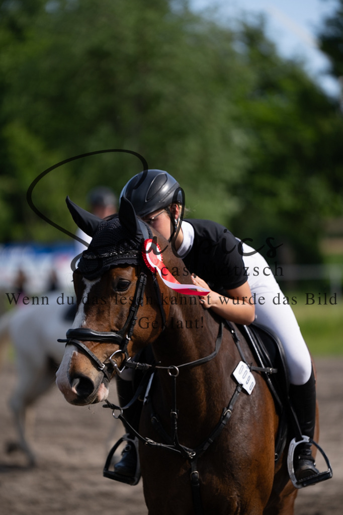 A7V03661 | Pferdefotograf