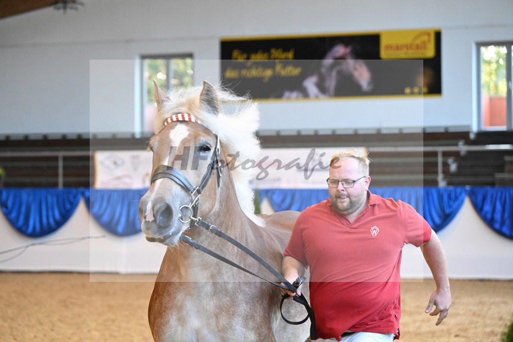 Kat-Nr. 19 Havanna_ZG Biegel_53221054 | hf-fotografie - Realizzato con Pictrs.com