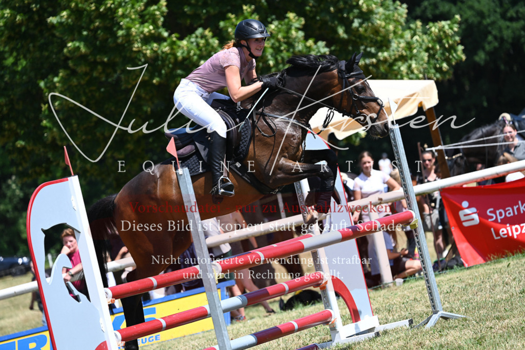DSC_0773 | Pferde- und Turnierfotografie in Westsachsen. Pferdeportraits, Auftragszeichnungen und intuitive Kunst.