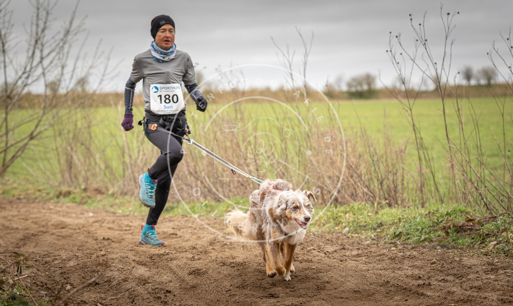 DV3A2099 | Hundefotografie, Tierfotograf, Pfotenfotografie, Fotoshooting Hund, Hunde Portrait, Hundesport, Hundeportraits, Heideshooting, Hunde, Sportfotograf, Hundefotograf, Turnierhundsport, THS,  - Realisiert mit Pictrs.com