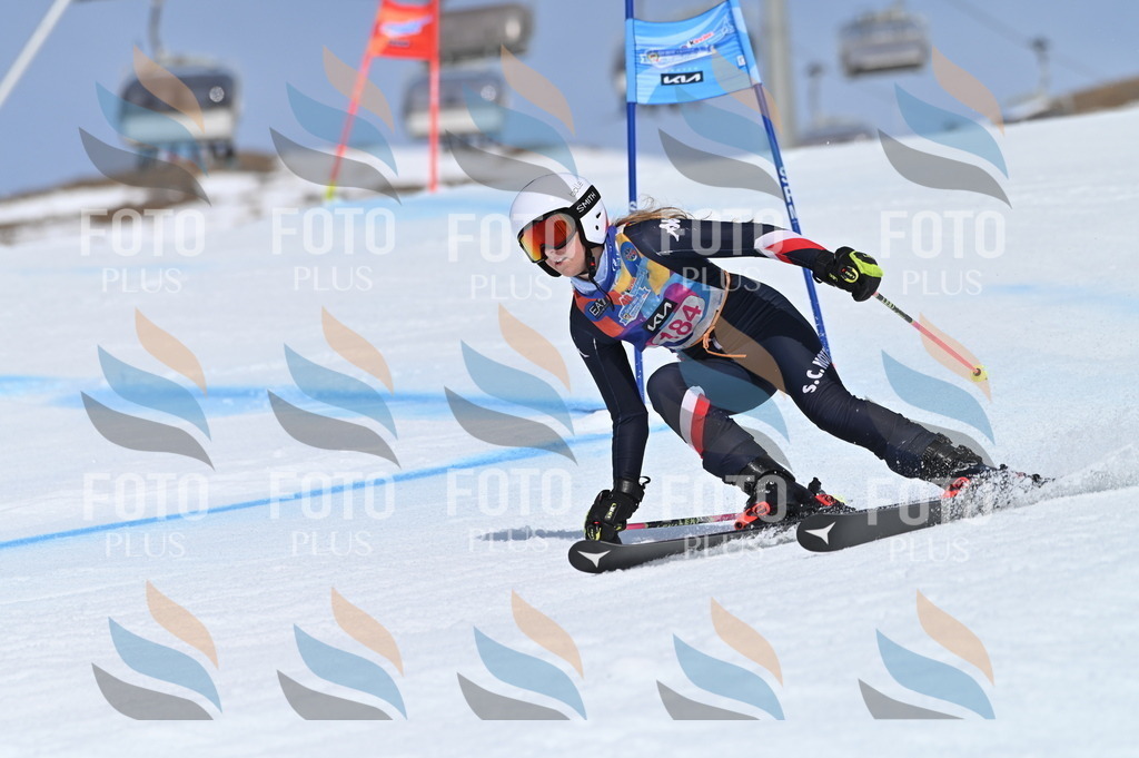 BGV_0696 | holidayphoto