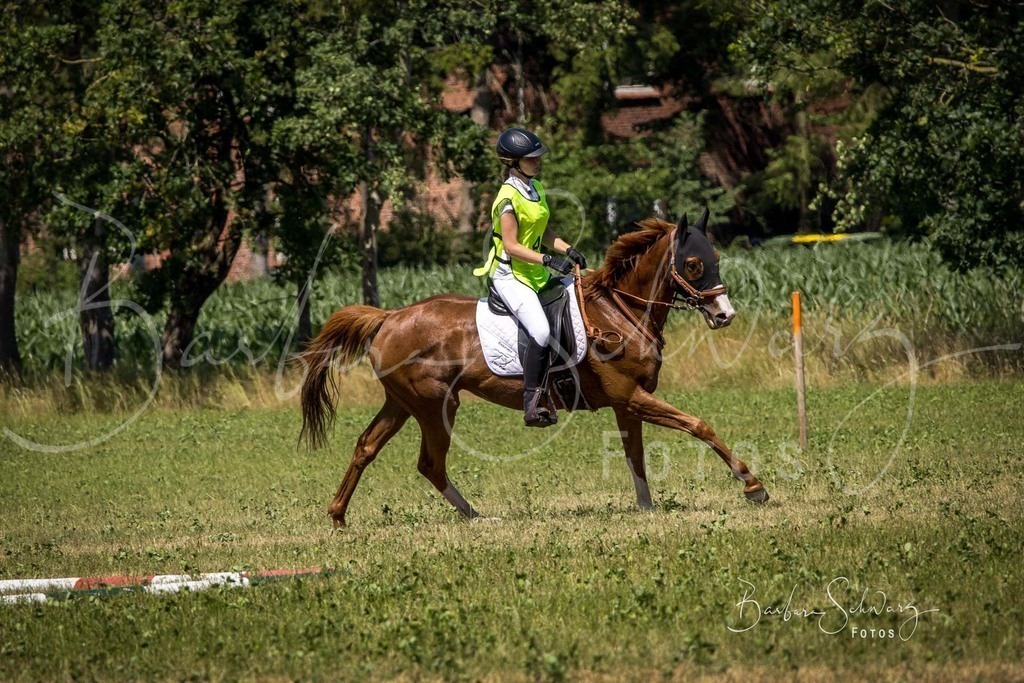 CJP_2026-06-26_95 | Stimmungsvolle Fotografie von Pferden, fotografische Begleitung von Veranstaltungen, Golfturnieren und Distanzritten - Realisiert mit Pictrs.com