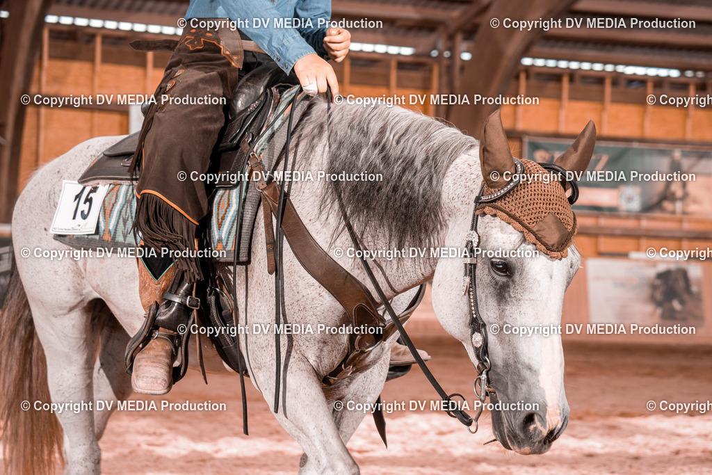 NE200723 | dv-media-shop - Realisiert mit Pictrs.com