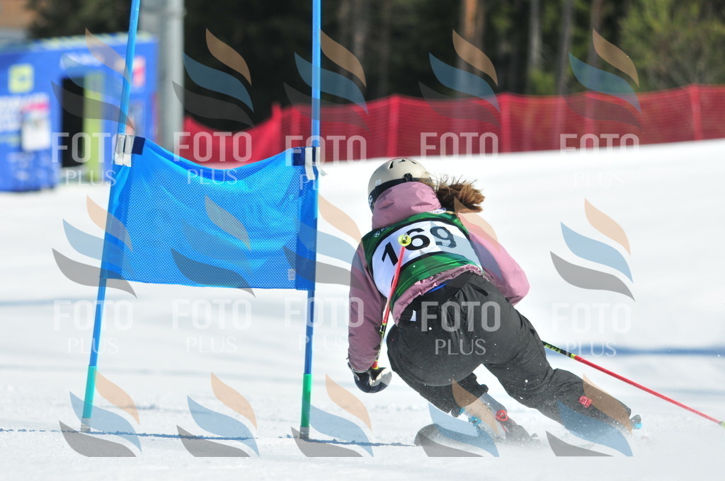 C4201 | holidayphoto