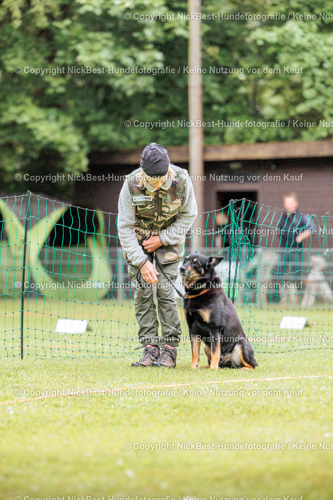 RO-Blumenthal-2026-Nickbest-Hundefotografie-3947 | Dein Hund! Dein Moment! Deine Erinnerungen! Hundefotografie in Bremen Blumenthal. Ich fange die besonderen Momente deines Vierbeiners ein – ob Indoor mit Blitzanlage oder in der freien Natur. Sicher dir dein Moment und dein Termin für eure Erinnerungen.