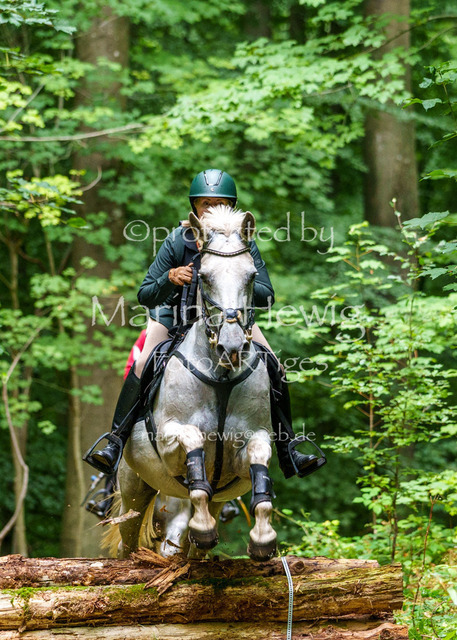 Jagd Knoop 26_MarinaHewigMCH02433 | Fotografie, FotoArt, PferdesportArt, Pferdesportfotografie, Landschaftsfotografie, Reisefotografie, Reise, Pferde - Realisiert mit Pictrs.com