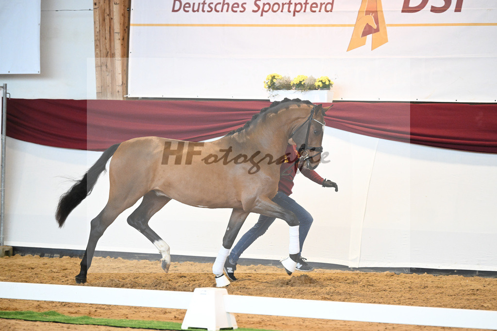 Kat-Nr. 23 v. Don Schufro_Raumanns_66220539 | hf-fotografie - Realisiert mit Pictrs.com