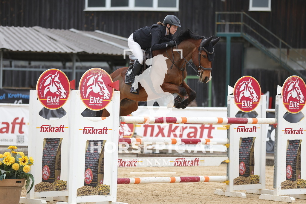 0P6A3776 | Willkommen bei Brunnmayr - Design & Fotografie – Ihrem Spezialisten für Reitturniere und Pferdeveranstaltungen in Oberösterreich, Salzburg und Bayern! Seit über 17 Jahren sind wir leidenschaftlich dabei.