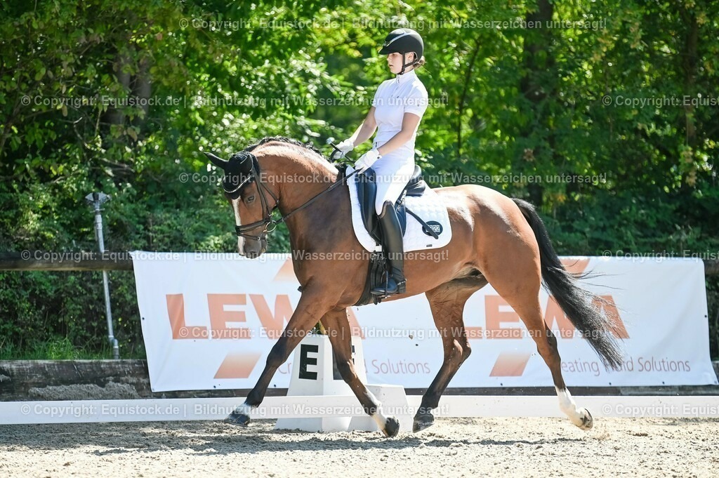 20230908_06_Dressur-L-Trense_0808 | equistock