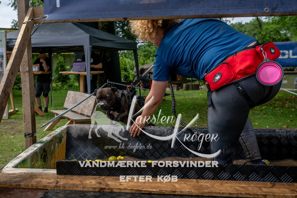 1122_ZZ93867 | kk-dogfotos
