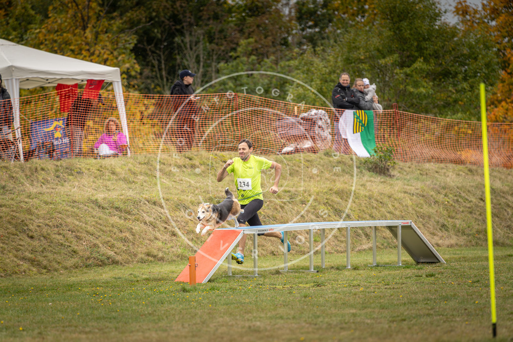 Pfotenfotografie_DV3A5657 | Hundefotografie, Tierfotograf, Pfotenfotografie, Fotoshooting Hund, Hunde Portrait, Hundesport, Hundeportraits, Heideshooting, Hunde, Sportfotograf, Hundefotograf, Turnierhundsport, THS,  - Realisiert mit Pictrs.com