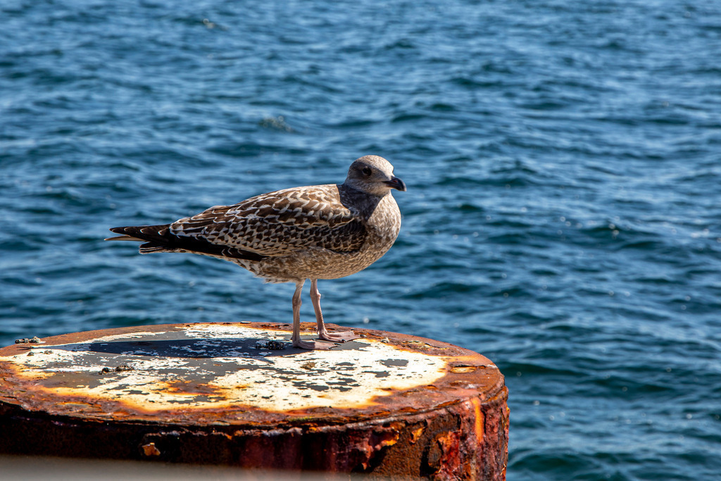 3A0A4776 | codoma - Realisiert mit Pictrs.com