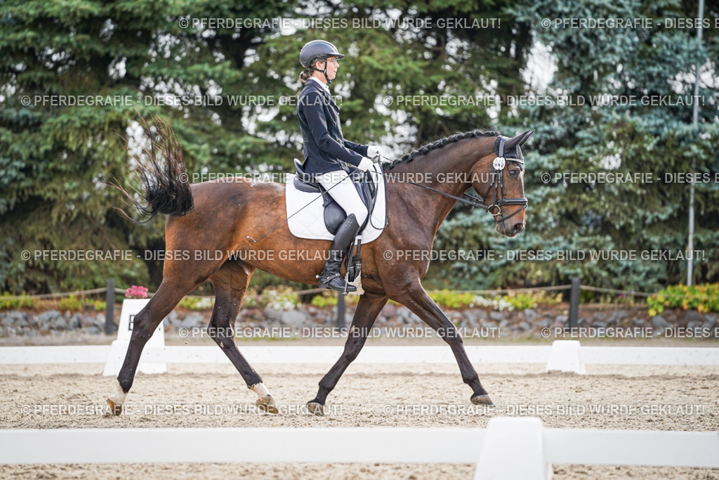 DSC00818 | Pferdegrafie