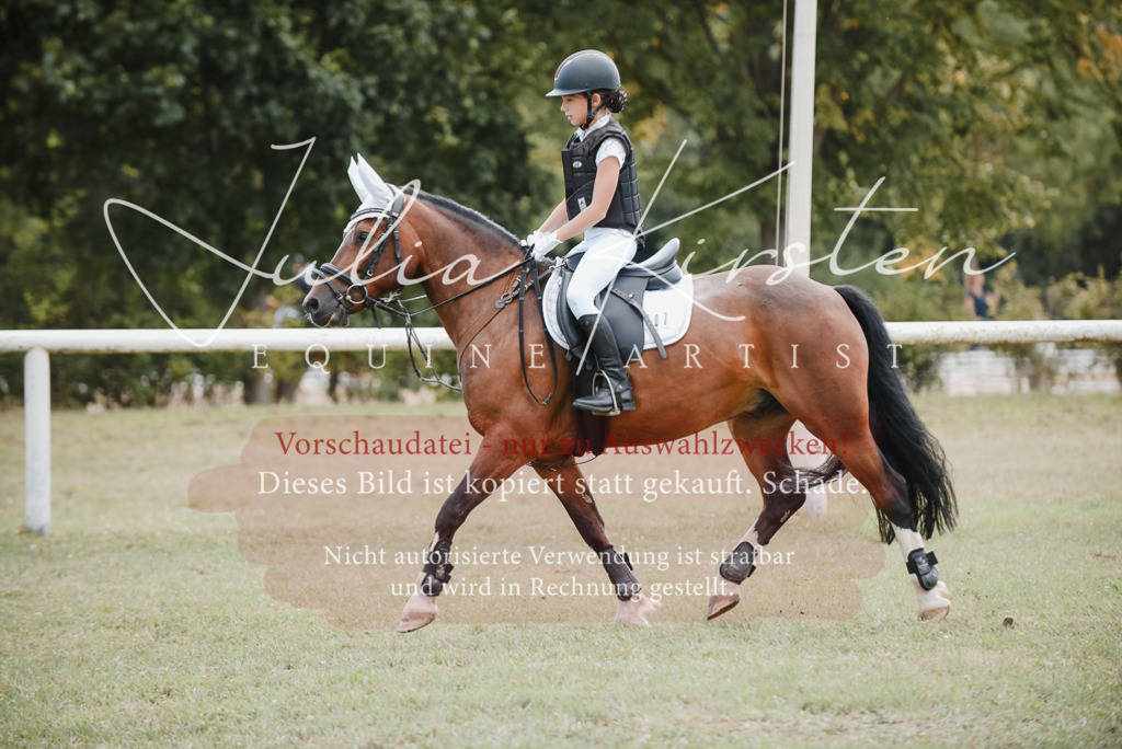 DSC_5483 | Pferde- und Turnierfotografie in Westsachsen. Pferdeportraits, Auftragszeichnungen und intuitive Kunst.
