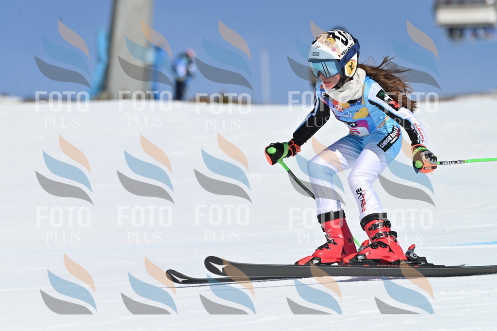 BGV_8654 | holidayphoto