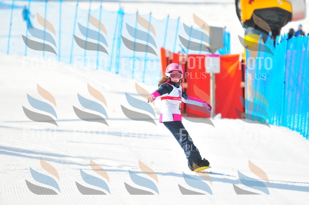 B8730 | holidayphoto