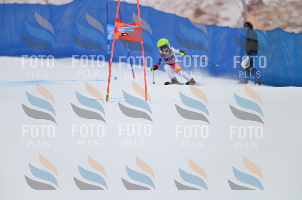 BGV_2316 | holidayphoto