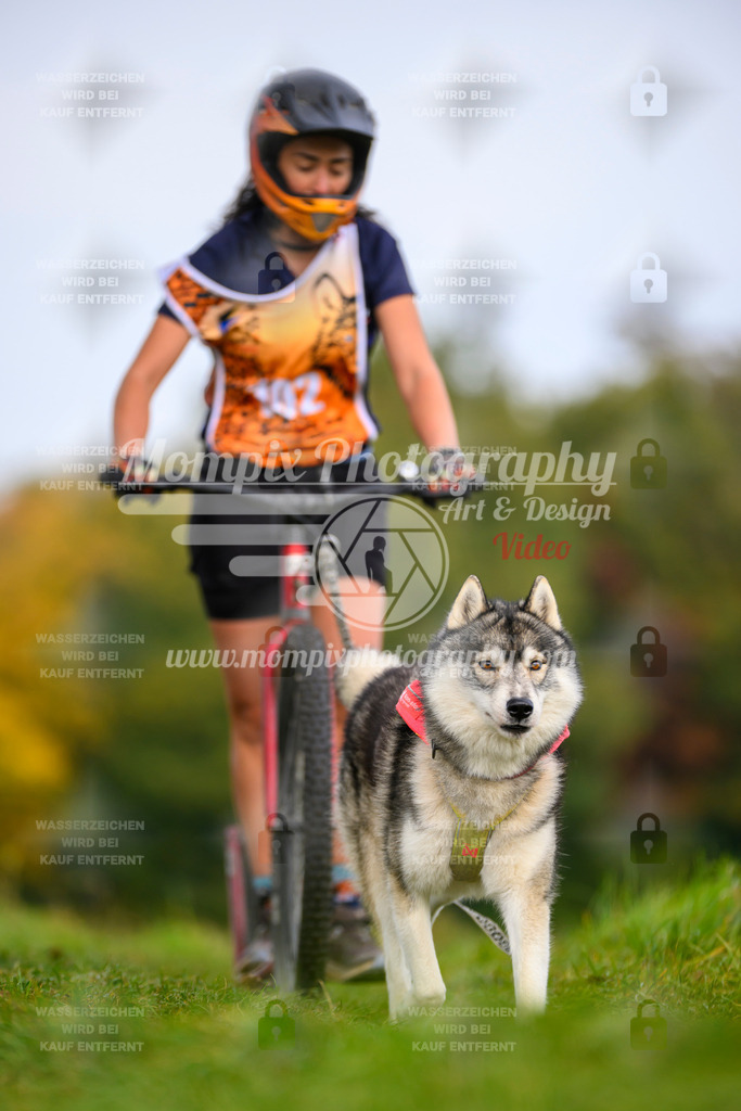 MompixPhotography_CDLBDB2025_DI_DS-104 | PayLife