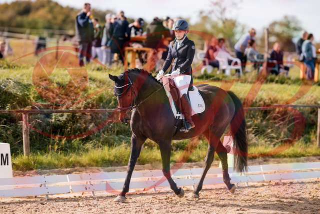 2026_10_03_Siefer-Hof_121335_Z81_13983539 | Professionelle Reitsport-, Turnier- und Eventfotografie von Robert Broda. Galerien mit ausgewählten und bearbeiteten Bildern direkt online ansehen und bestellen.
