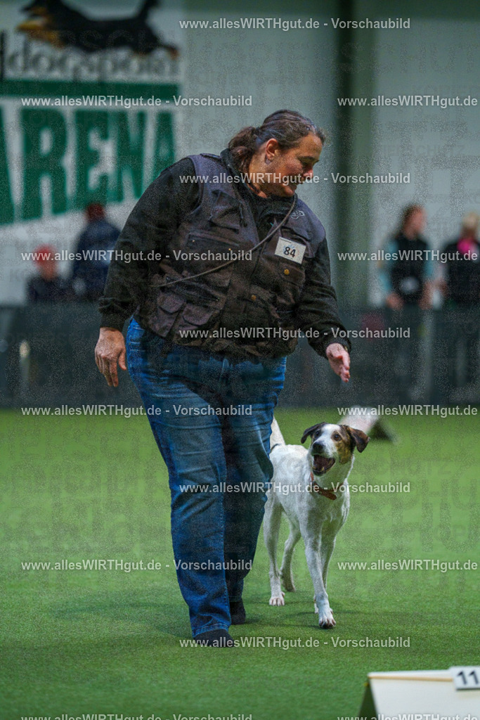 7R503320 | Professionelle Tierfotografie in Mönchengladbach von Daniel Wirth (allesWIRTHgut). Liebevolle & natürliche Bilder von Hunden & Katzen für unvergessliche Erinnerungen.