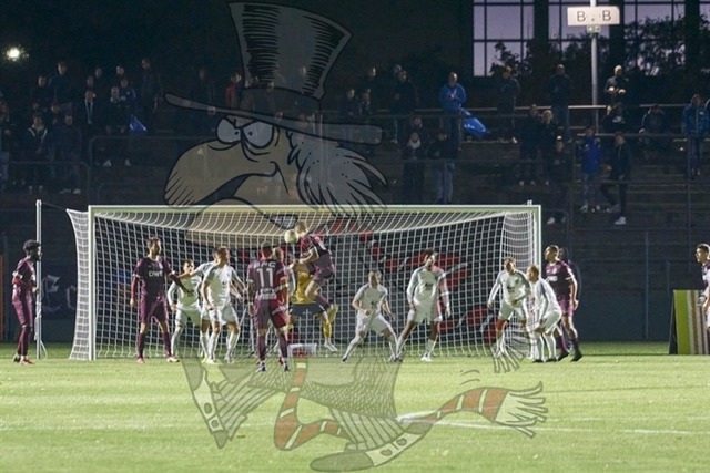 BFC Dynamo vs. SV Babelsberg 03 019 | mythos-online-redaktion