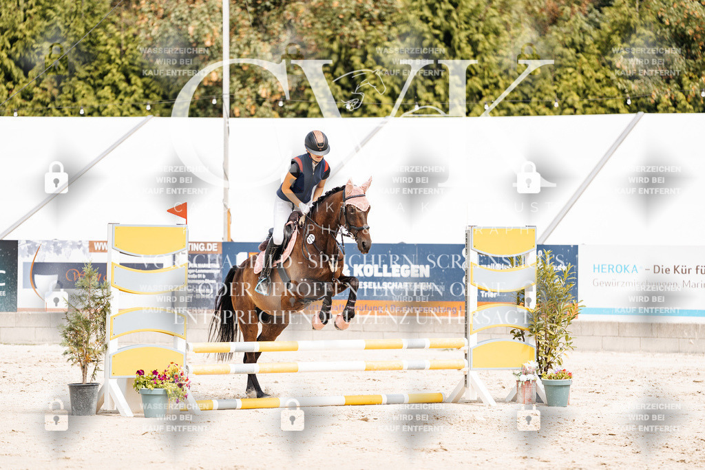 CK906687 | Turnierfotografie Pferdefotografie Trier Rheinland-Pfalz Pferdesport Reitsport Tierfotografie Sportfotografie Pferdevideo Pferdevideografie Equestrianvideography equestrianphotography  - Realisiert mit Pictrs.com
