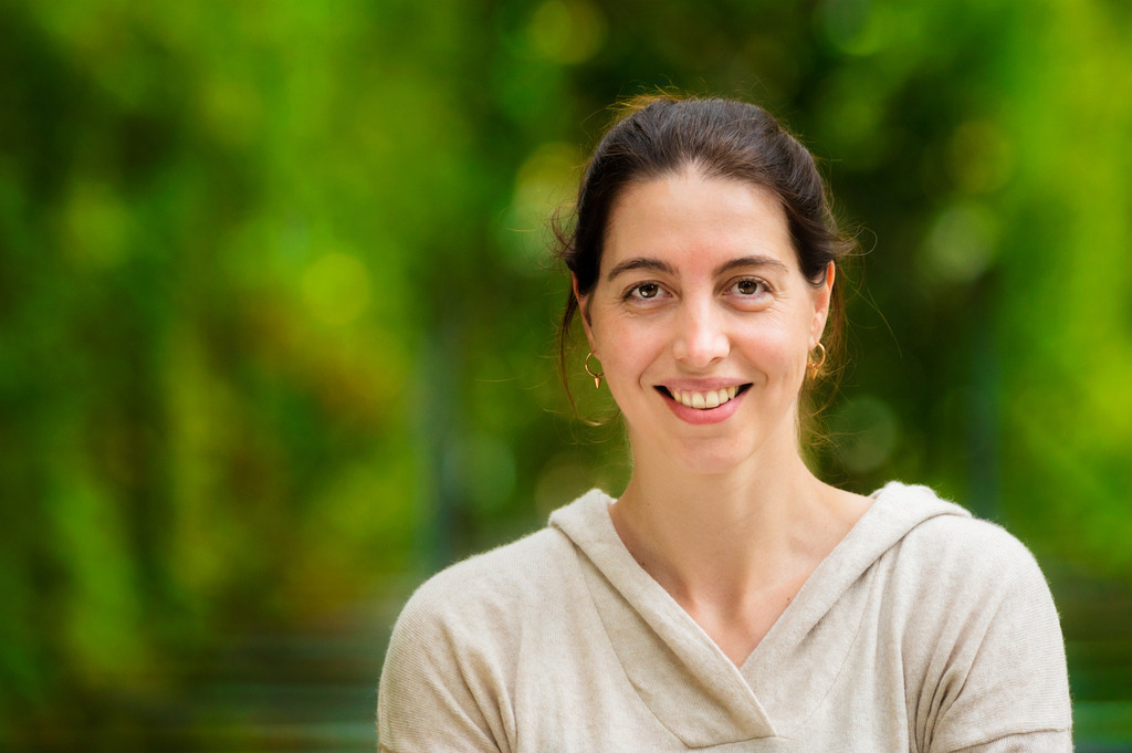 _D4S4446-1 | photoluigi