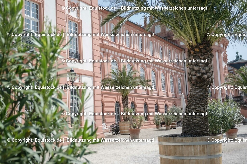 ZFC_3953 | equistock