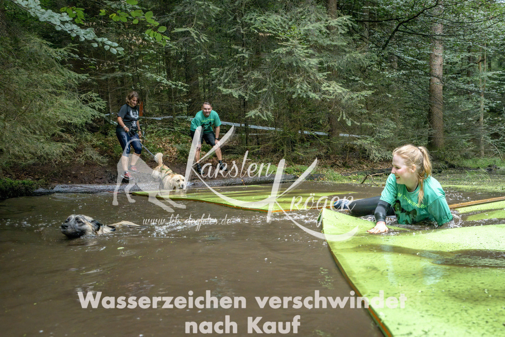 1510_ZZ94498-Bearbeitet | kk-dogfotos