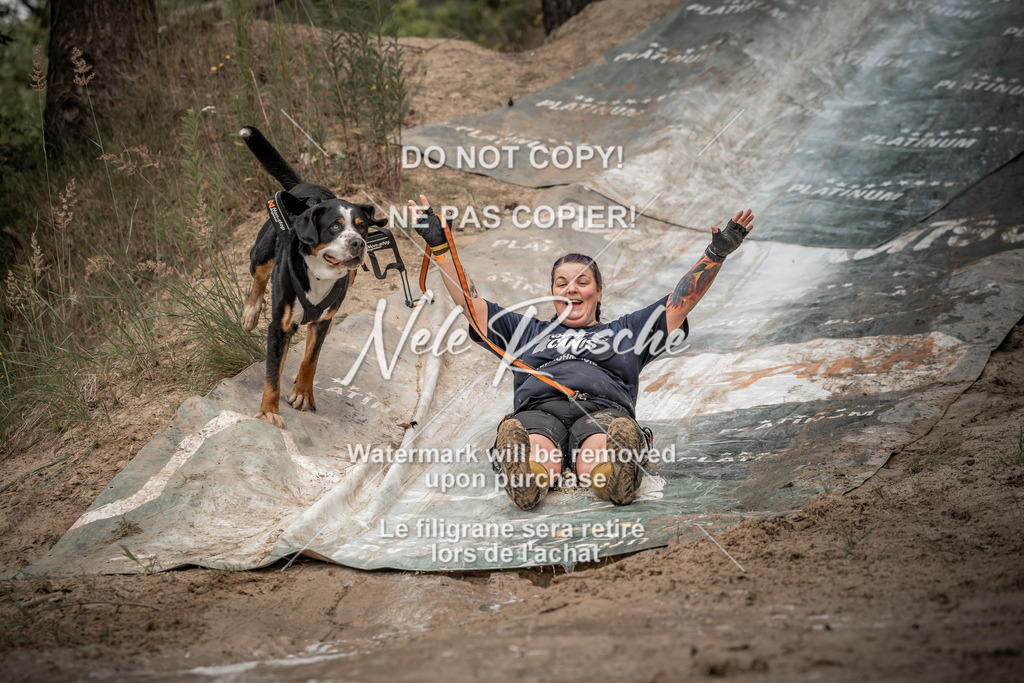 nelerasche_sa1200-1230_387 | nelerasche