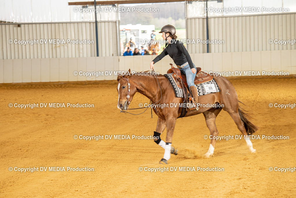 MIT00818 | dv-media-shop - Realisiert mit Pictrs.com