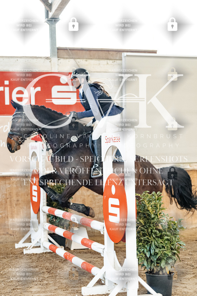 CK904239 | Turnierfotografie Pferdefotografie Trier Rheinland-Pfalz Pferdesport Reitsport Tierfotografie Sportfotografie Pferdevideo Pferdevideografie Equestrianvideography equestrianphotography  - Realized with Pictrs.com