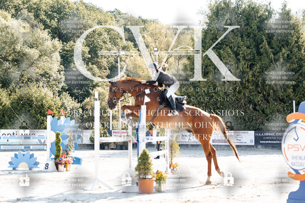 CK901686 | Turnierfotografie Pferdefotografie Trier Rheinland-Pfalz Pferdesport Reitsport Tierfotografie Sportfotografie Pferdevideo Pferdevideografie Equestrianvideography equestrianphotography  - Realisiert mit Pictrs.com