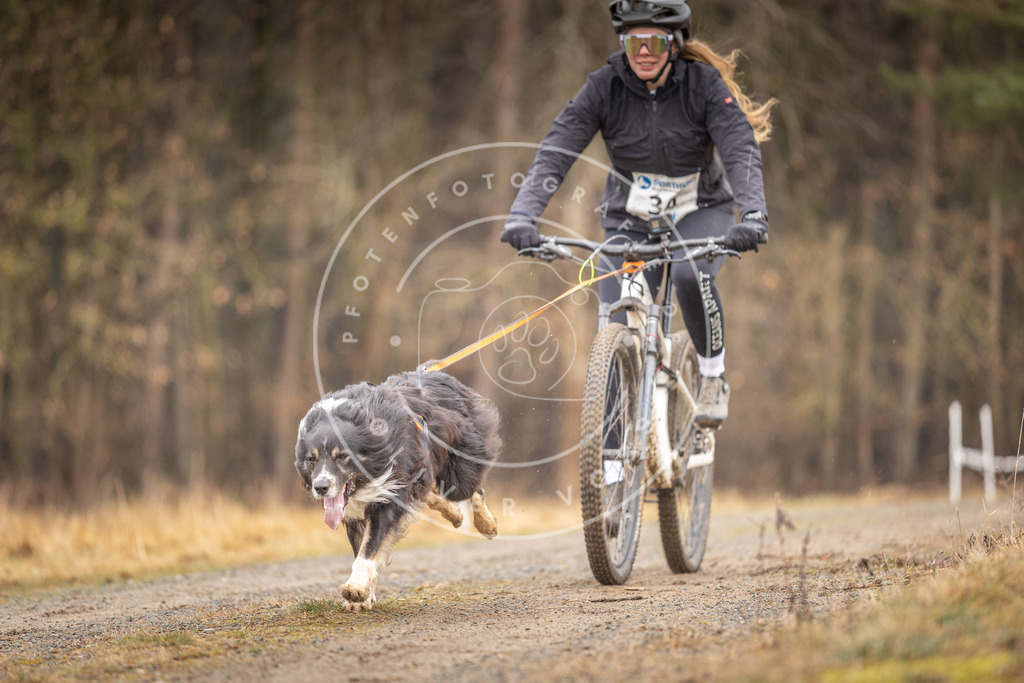 DV3A3357 | Hundefotografie, Tierfotograf, Pfotenfotografie, Fotoshooting Hund, Hunde Portrait, Hundesport, Hundeportraits, Heideshooting, Hunde, Sportfotograf, Hundefotograf, Turnierhundsport, THS,  - Realisiert mit Pictrs.com