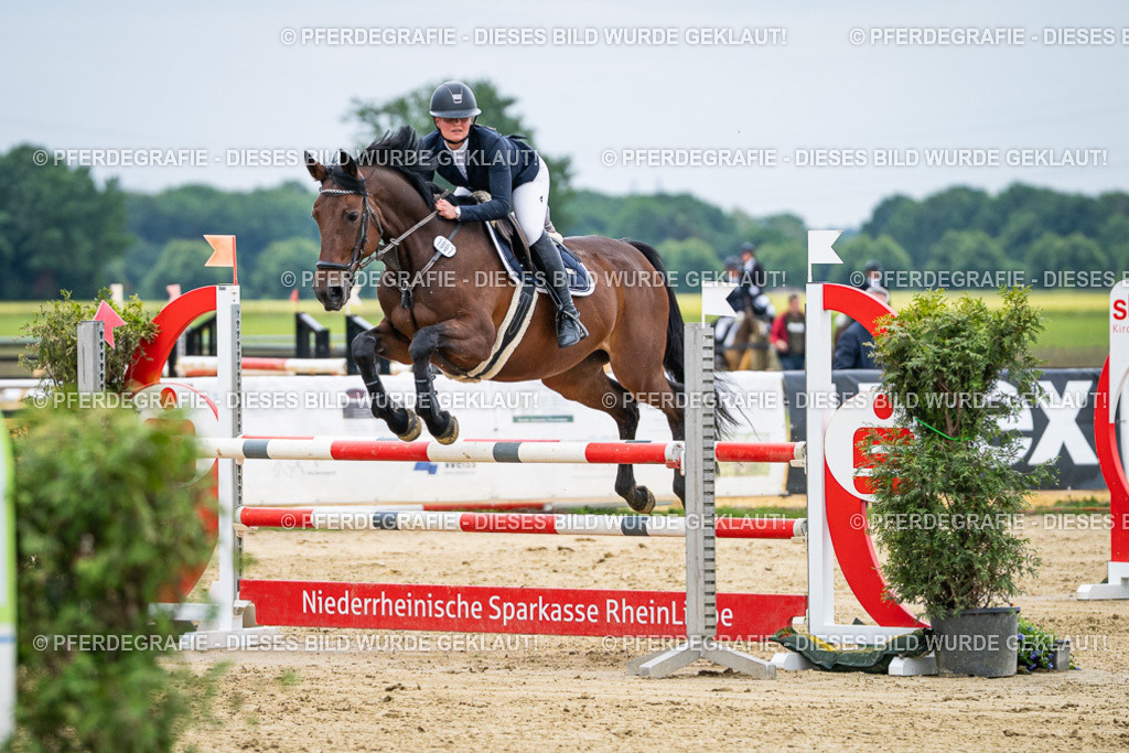 DSC06350 | Pferdegrafie