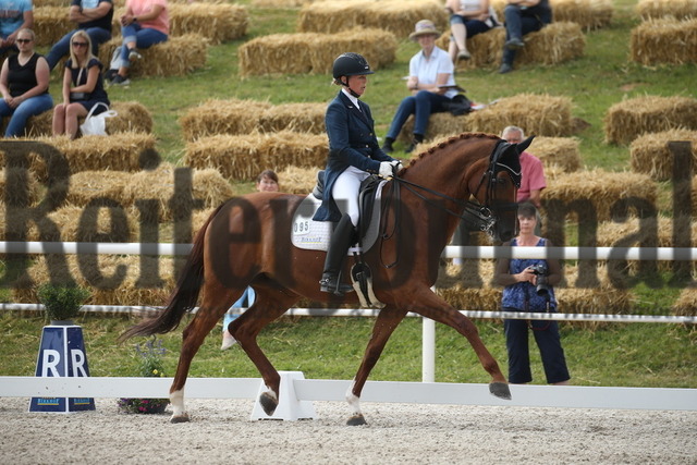 Birkhof_2022_GrandPrixSpecial_Nicole Casper_Birkhof_s Don Röschen FBW(10) | Alle Fotos der Reiterjournal Fotografin Doris Matthaes im Reiterjournal Online-Fotoshop. - Realisiert mit Pictrs.com