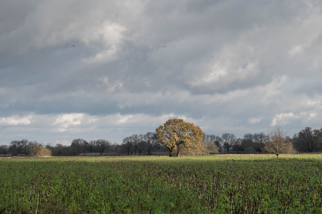 Haueneberstein, Deutschland | Die schönsten Bilder für Ihre Räume online bestellen! In unseren Bildergalerien findet Sie alles was es für Ihre Räume braucht. Lassen Sie sich überraschen ☺️ - Realisiert mit Pictrs.com