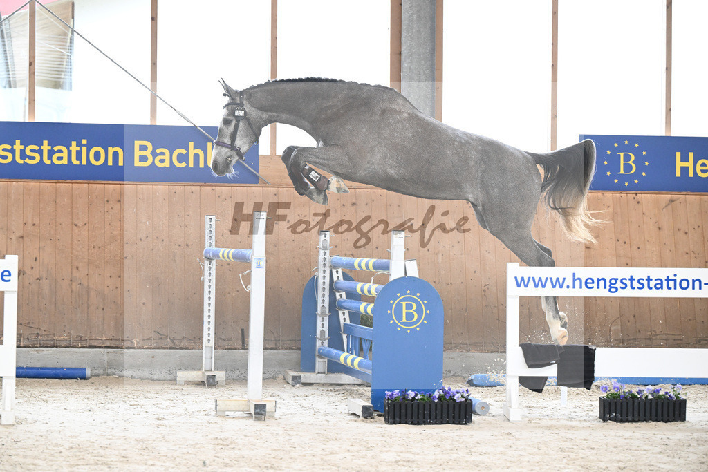 Kat-Nr. 41 Ferdinand vom Imhoff v. Cornet Obolensky_Imhoff_7240373 | hf-fotografie - Realisiert mit Pictrs.com