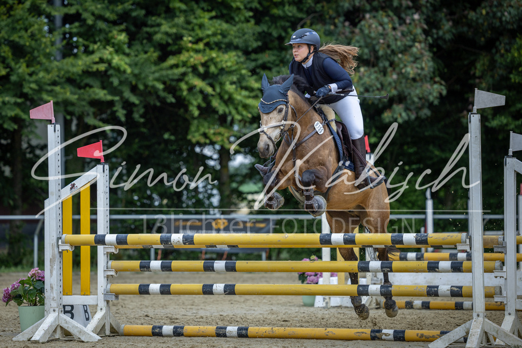 20260704-_3LI0830 | Tierfotografie Pferde, Hunde, Katzen, Haustiere.
Turnierfotografie Reitturniere, Reiten, Springreiten, Dressur in Hanau, dem Main-Kinzig-Kreis und dem Rhein-Main- Gebiet um Frankfurt