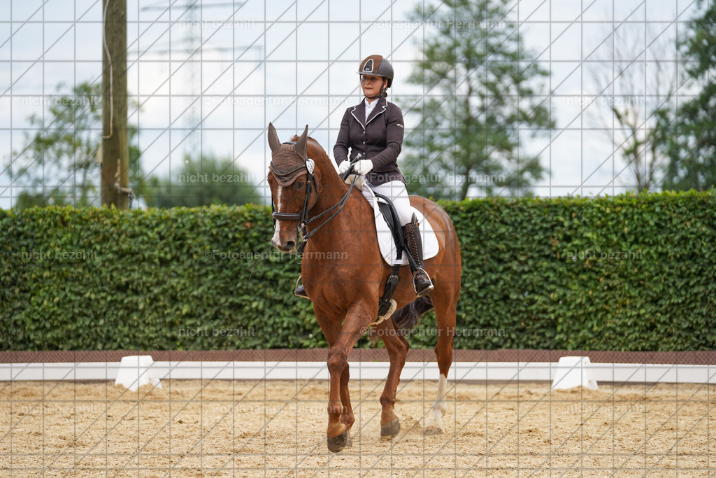 20240630-FAH02086 | Turnierbilder Schwabmünchen, Dressurbilder, Springreitturnier, Reitsportbilder, Turnierfotografen Bayern, Turnierfotograf