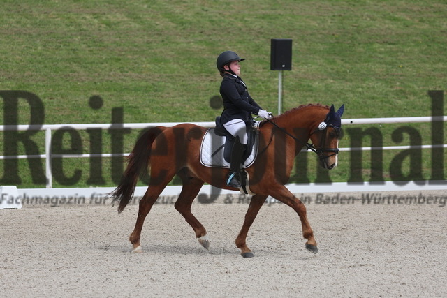 Birkhof_2024_Prfg.Nr.02_Dressurreiterprfg_Kl.A_Sophia Bäuerle_Cromwell 38 (5) | Alle Fotos der Reiterjournal Fotografin Doris Matthaes im Reiterjournal Online-Fotoshop. - Realisiert mit Pictrs.com