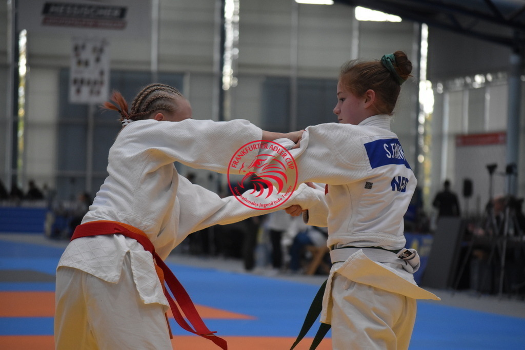 DSC_1500 | Fotos vom Adler Cup - Pictures from Adler Cup

Hier findet Ihr alle Eindrücke und großen Momente der Adler Cup Wochenenden. Here you will find all impressions and great moments of the Adler Cup weekends. - Realisiert mit Pictrs.com