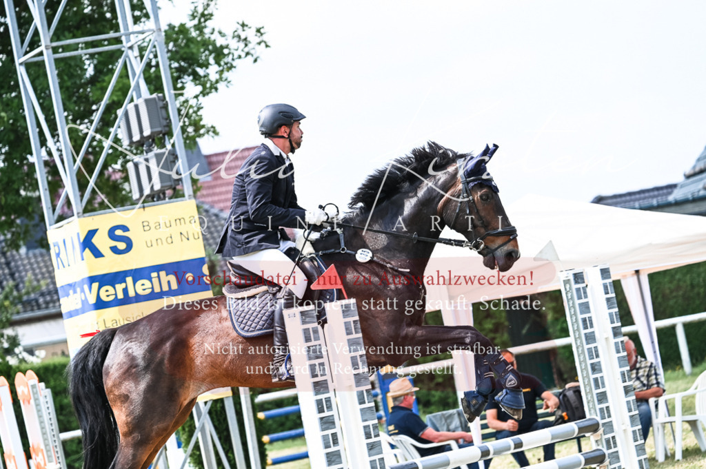 DSC_8915 | Pferde- und Turnierfotografie in Westsachsen. Pferdeportraits, Auftragszeichnungen und intuitive Kunst.