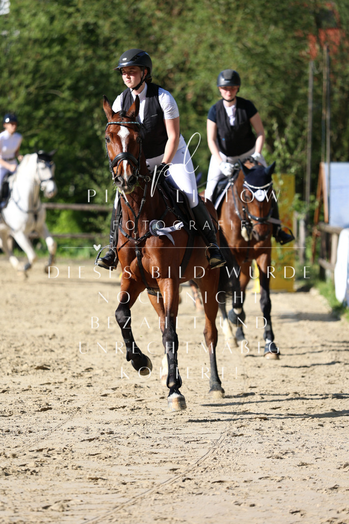 IMGS5878 | pl-fotografie