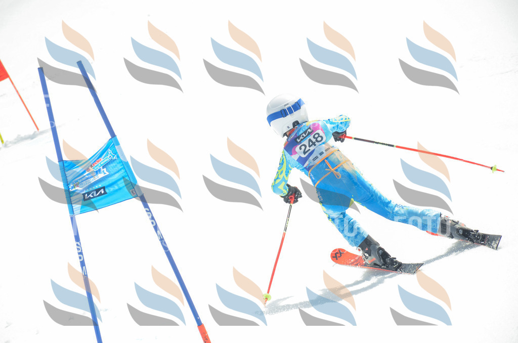 _ELE7529 | holidayphoto