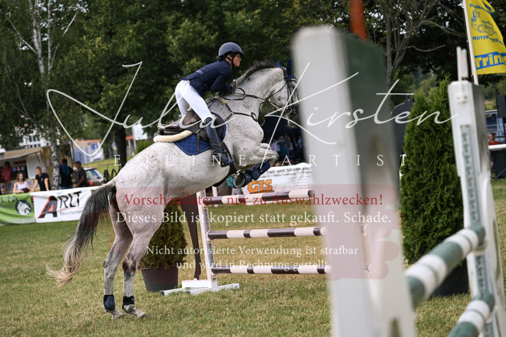 DSC_0937 | Pferde- und Turnierfotografie in Westsachsen. Pferdeportraits, Auftragszeichnungen und intuitive Kunst.