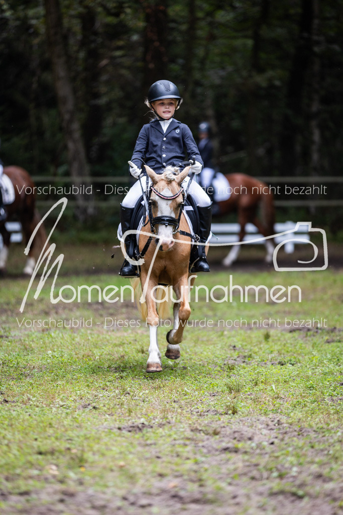 HB-Reiter-WB-060 | MomenTaufnahmen Pferdesportfotos